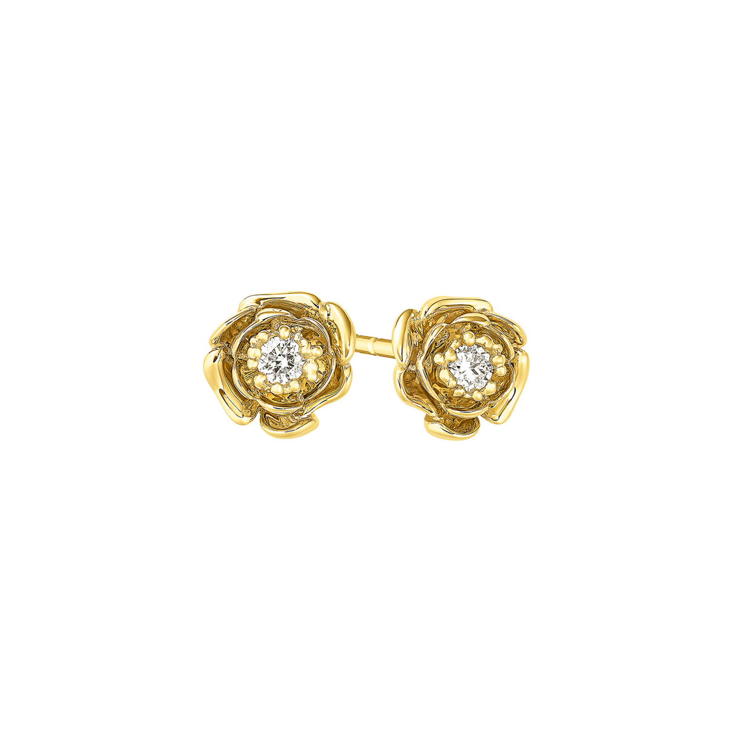 Ohrstecker WILDROSE Gelbgold 585/- mit Brillant