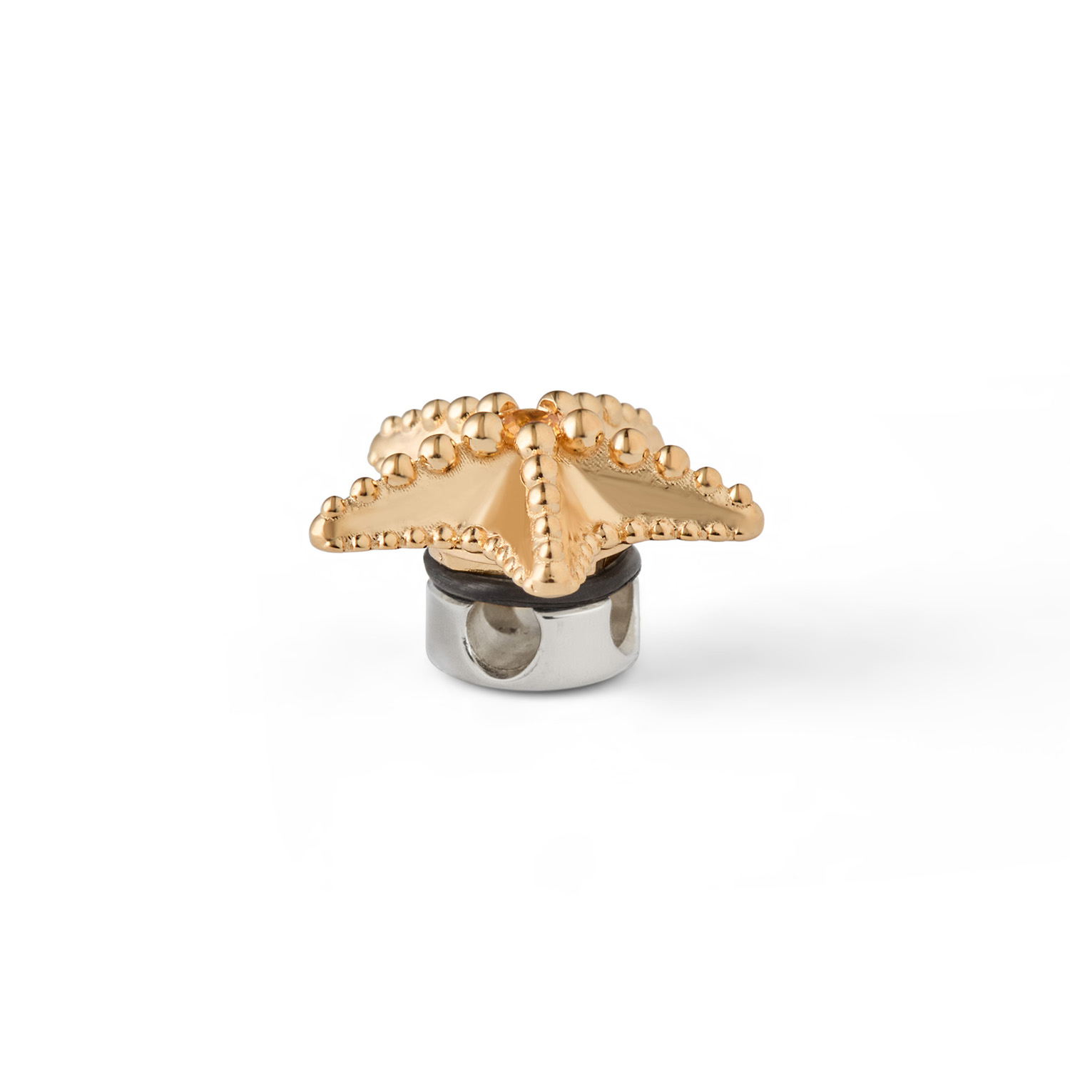 Charlotte Kopf STARFISH Sterlingsilber Gelbgold 585/- vergoldet mit Safir